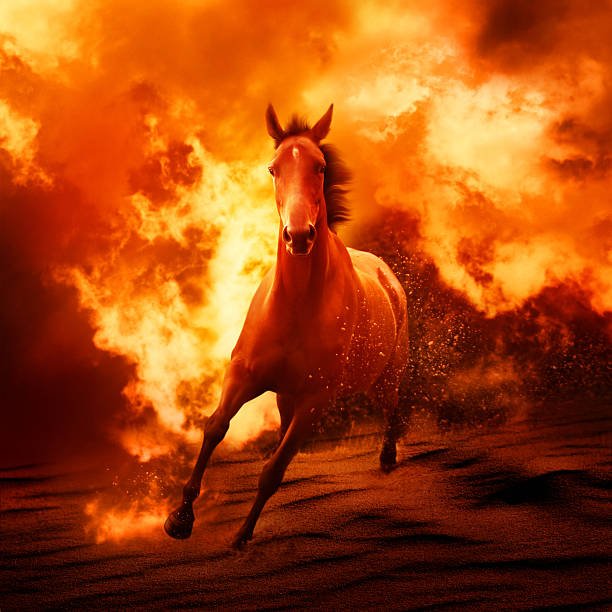 Le calme avant le cheval de feu