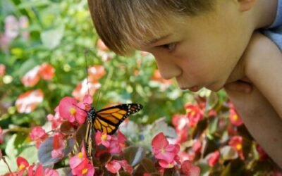 S’excuser auprès de son enfant intérieur