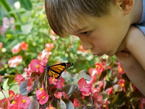 S&rsquo;excuser auprès de son enfant intérieur