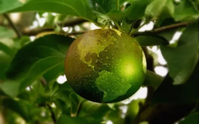 Faire place à l&rsquo;inspiration : le bien-être comme pratique créative