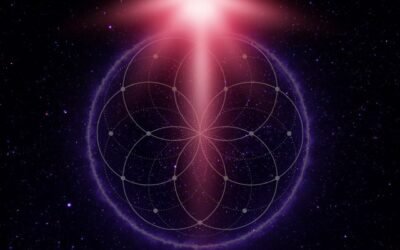 Devenez un Maître Éveillé ∞Thymus : Le Collectif des Maîtres Ascensionnés