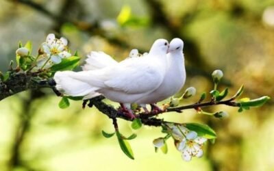 Metatron : Apporter la paix