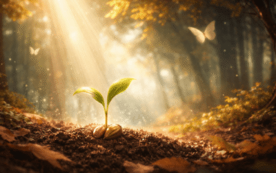 La sagesse des métamorphoses