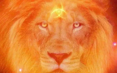 Natalia Alba : Éclipse solaire en Lion