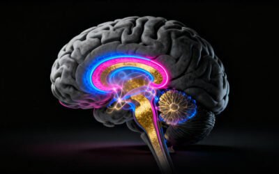 Découverte surprenante : Des couches cachées dans notre cerveau pourraient expliquer nos pertes de mémoire