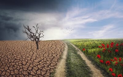 Dérèglement climatique ou dérèglement de vos esprits?
